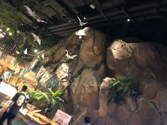 -杭州开元森泊度假乐园