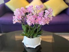 -上海新锦江大酒店