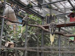 -呀路古热带植物园