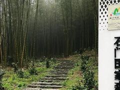 -广州市石门国家森林公园