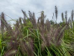 -汉长安城未央宫国家考古遗址公园