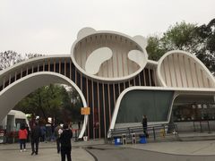 景点-成都大熊猫繁育研究基地