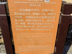 -青州古城