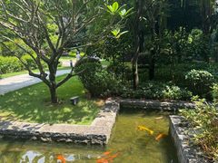 -南宁荔园维景国际酒店·荔园中餐厅