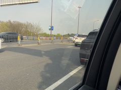 -合肥滨湖国家森林公园