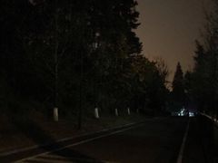 -铁山坪森林公园