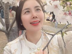 -木兰云雾山