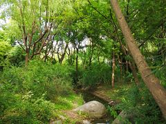 -新江湾城公园