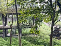 -碧峰峡风景区