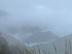 -金子山原生态旅游风景区