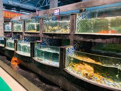水产区-森谷美食公园(杨行店)