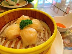 水晶鲜虾饺-香港新曜记茶餐厅(星耀城店)