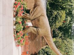 -寻龙山风景旅游区