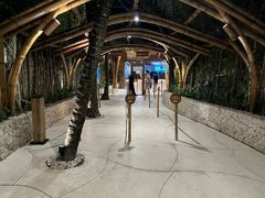 -FINNS Beach Club