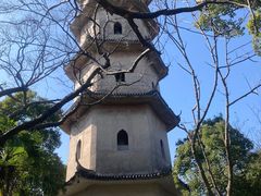 -江心屿景区