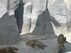 -秦皇岛乐岛海洋王国