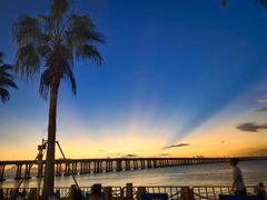 -宝安西湾红树林湿地公园