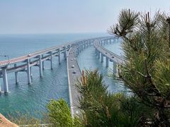 -星海湾跨海大桥