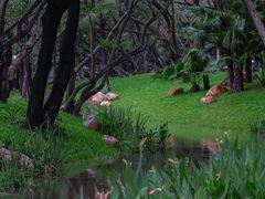 -人民公园(罗湖区)