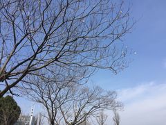-笃笃笃糖粥(十全街店)