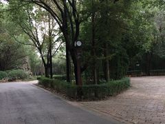 -同里国家湿地公园