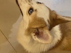 -平行世界·猫咖(首经贸店)