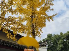 -香山寺