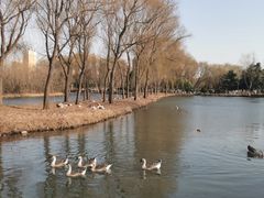 -西安浐灞国家湿地公园