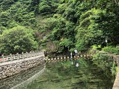 -宁波五龙潭景区