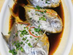 -天宁凯利时尚餐厅