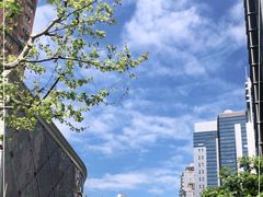 -Ms.Pilates 普拉提技术(尚悦湾陆家嘴店)