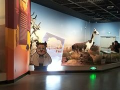 -陕西自然博物馆