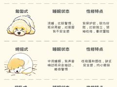 -守诺宠物医院·眼科· 特色牙科·异宠专科(虹口店)