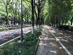 -后襄河公园