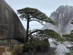 -黄山风景区
