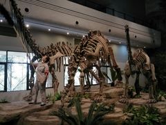 -自贡恐龙博物馆