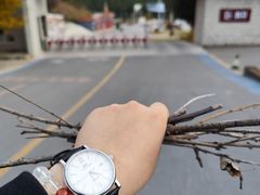 -青岩寺风景区
