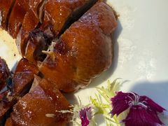 -申粤轩酒楼(丁香花园店)