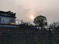 -树山生态村
