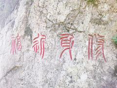 -王顺山国家森林公园