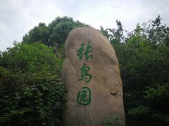 -张鸟园农家乐(张鸟园店)