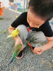 -萌宠亲子动物乐园(槐房万达店)