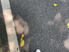 -重庆园博园