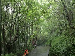 -峨眉山报国寺