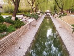 -菖蒲河公园