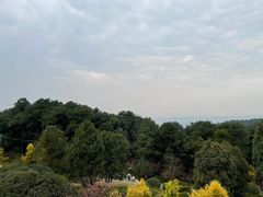 -铁山坪森林公园