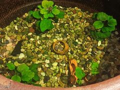 -瓦舍茶馆(聚源路店)