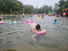 -柳浪游泳场