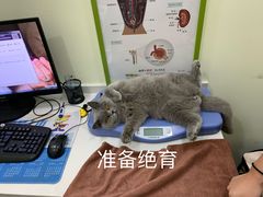 -佑安动物医院·全科·内窥镜中心(幸福巷店)