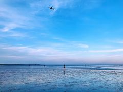 -南汇新城海滩